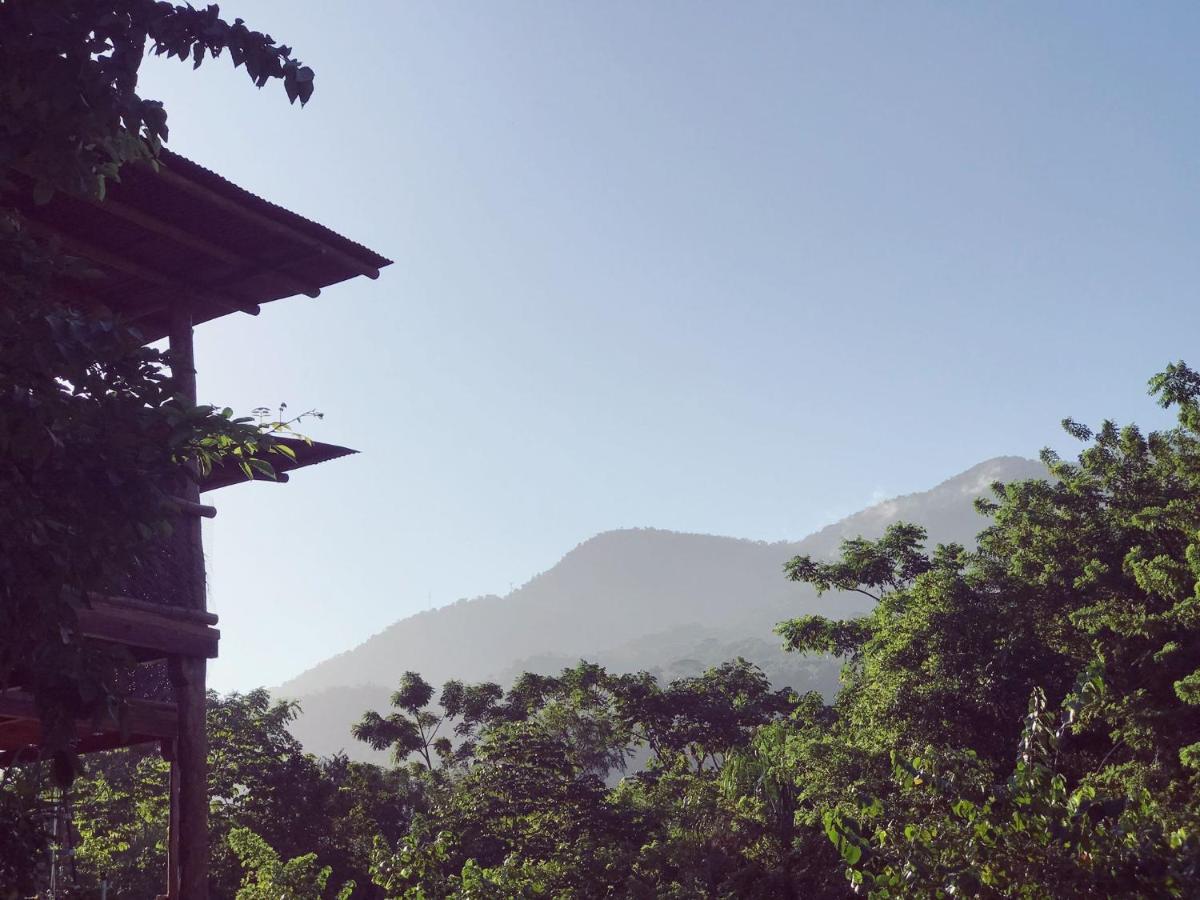 The Valley Tayrona Hostel -A unique nature experience El Zaino Extérieur photo