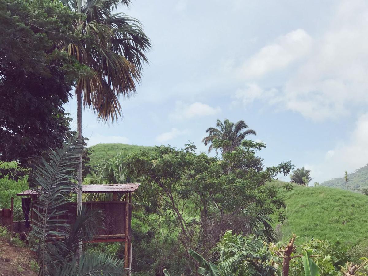 The Valley Tayrona Hostel -A unique nature experience El Zaino Extérieur photo