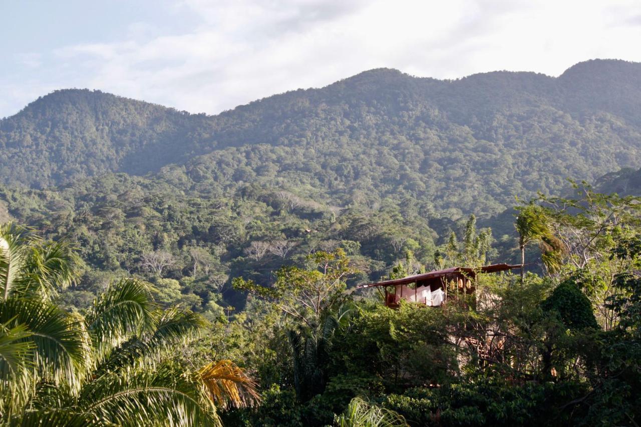 The Valley Tayrona Hostel -A unique nature experience El Zaino Extérieur photo