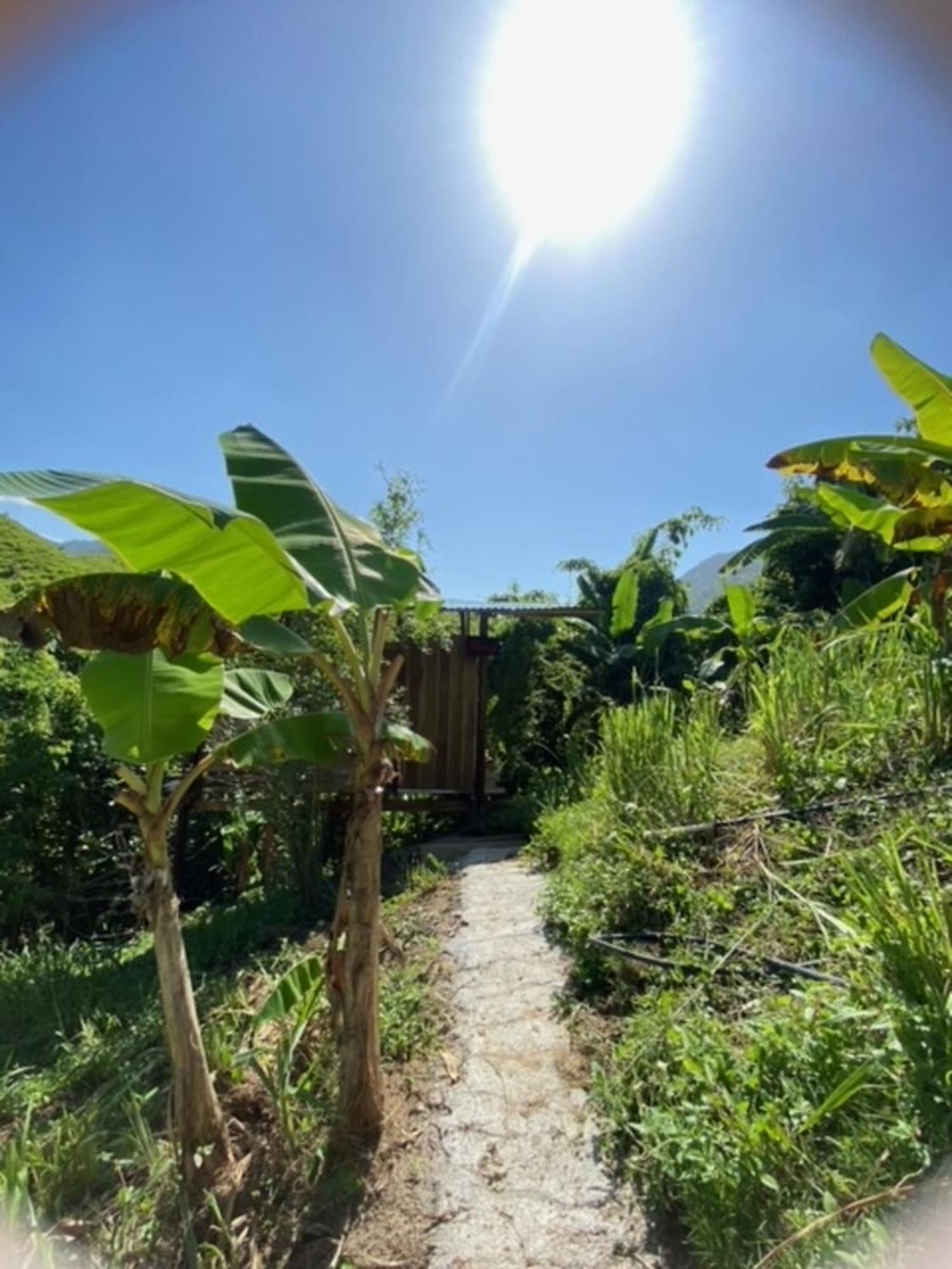 The Valley Tayrona Hostel -A unique nature experience El Zaino Extérieur photo