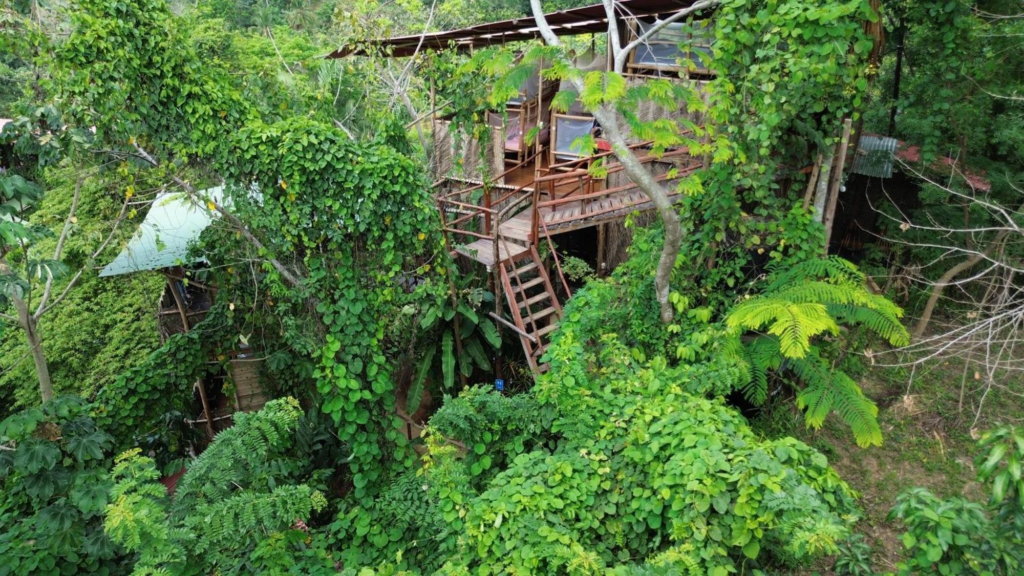 The Valley Tayrona Hostel -A unique nature experience El Zaino Extérieur photo
