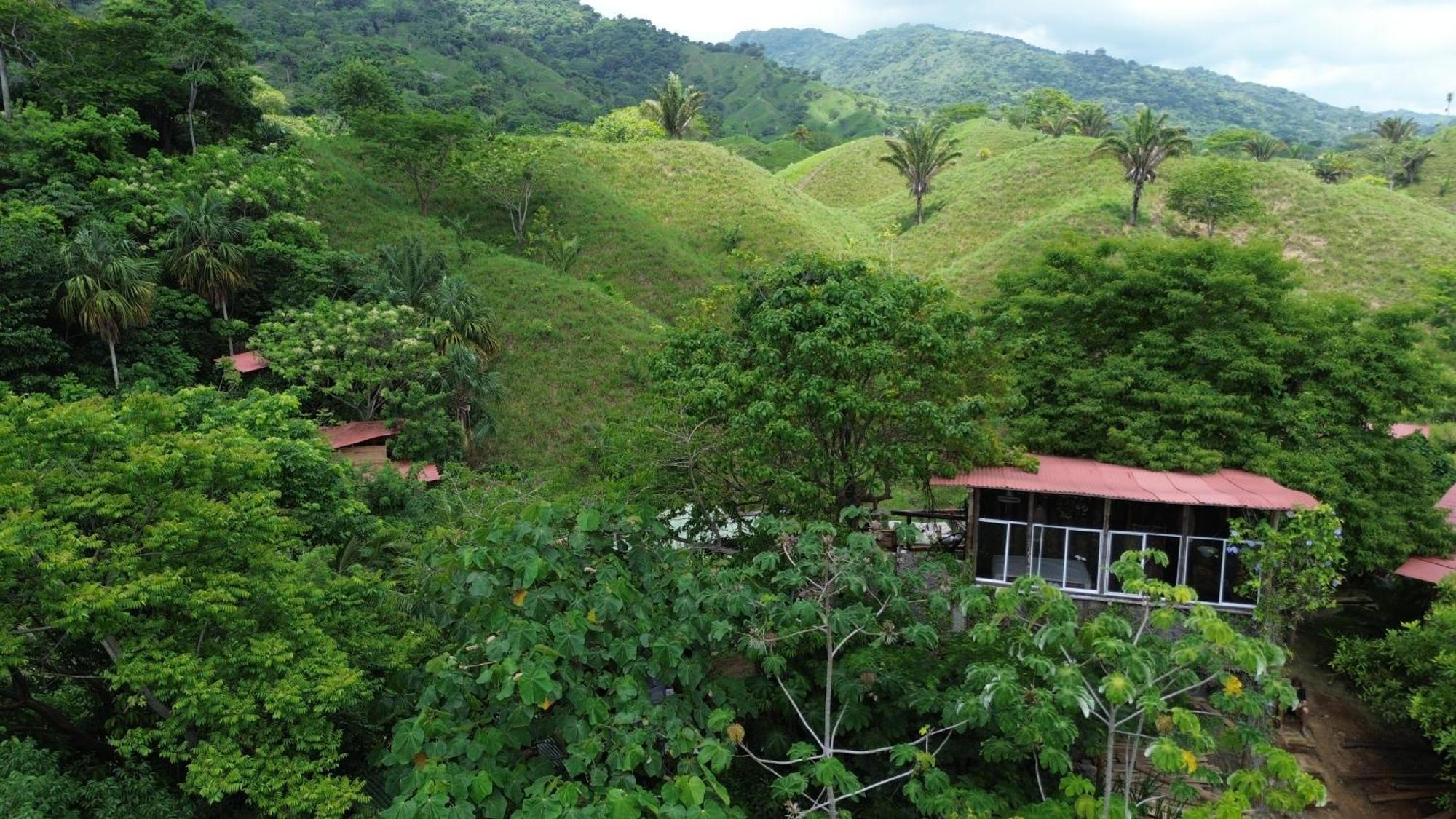 The Valley Tayrona Hostel -A unique nature experience El Zaino Extérieur photo