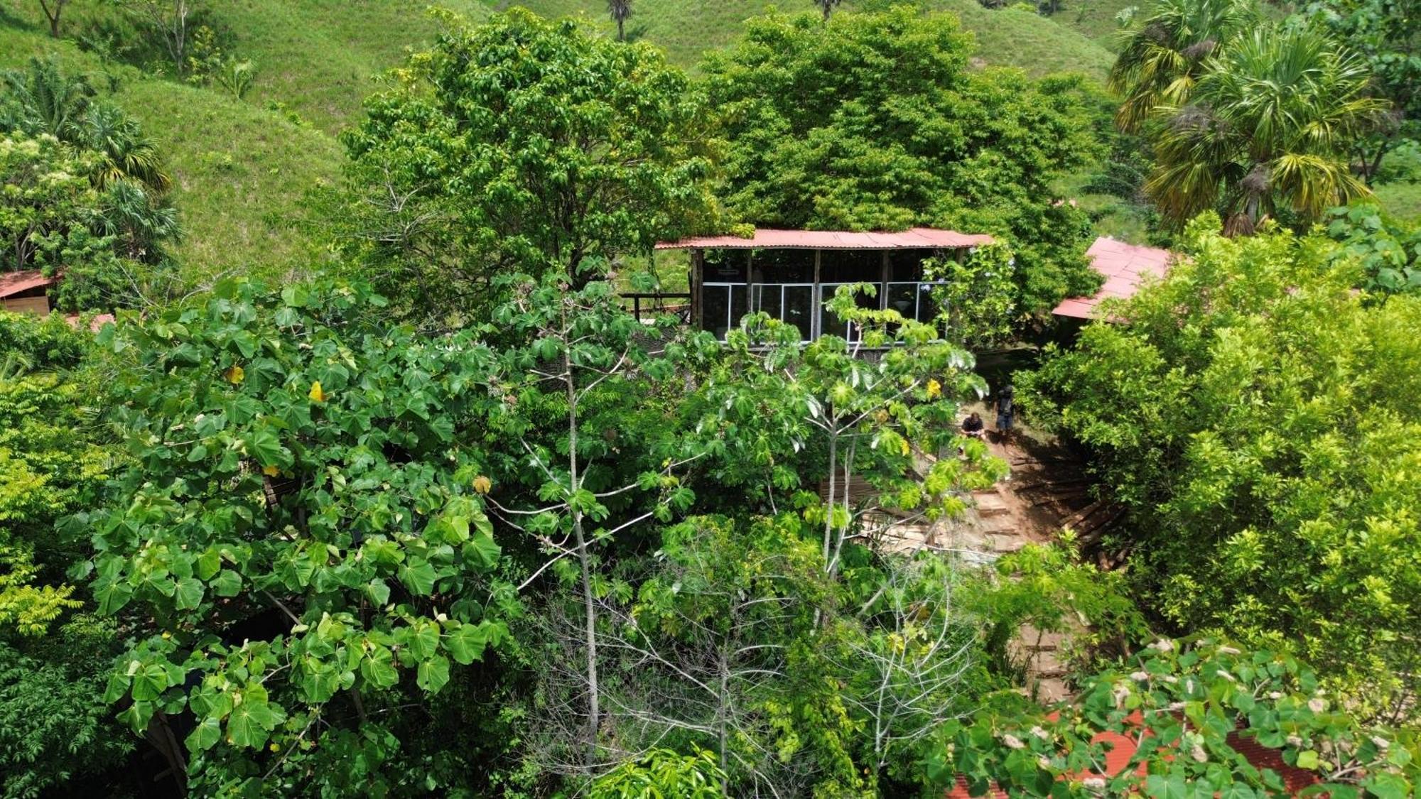 The Valley Tayrona Hostel -A unique nature experience El Zaino Extérieur photo