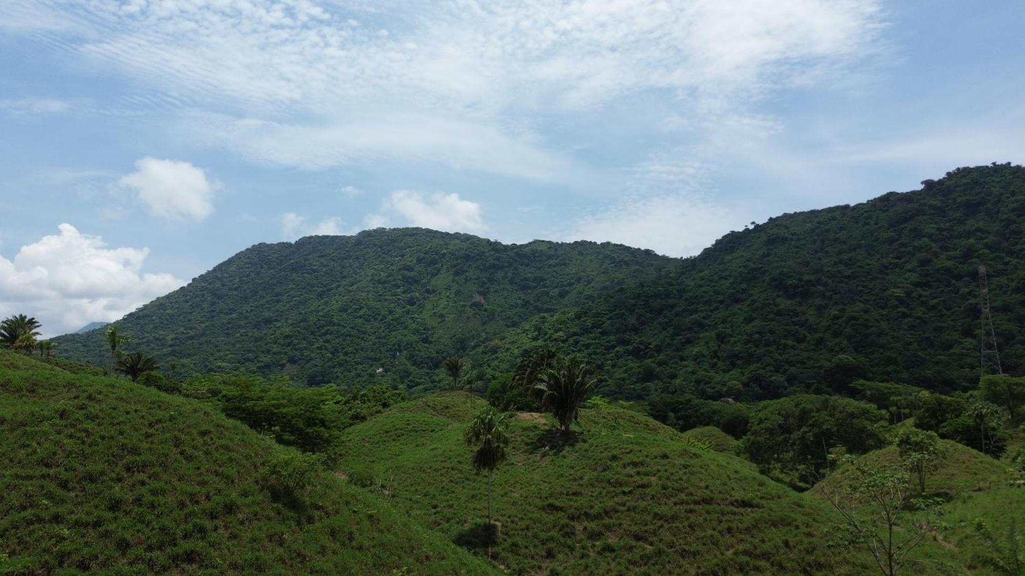 The Valley Tayrona Hostel -A unique nature experience El Zaino Extérieur photo