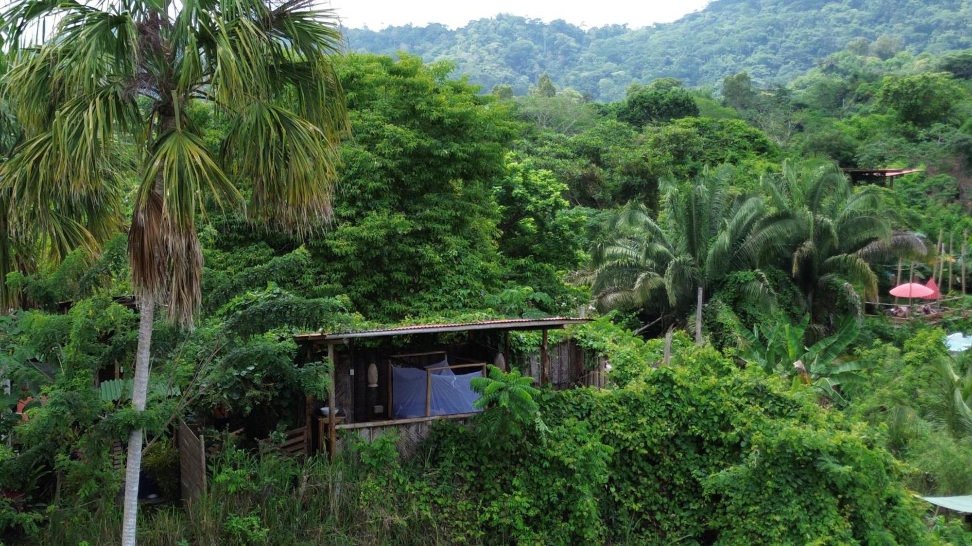 The Valley Tayrona Hostel -A unique nature experience El Zaino Extérieur photo