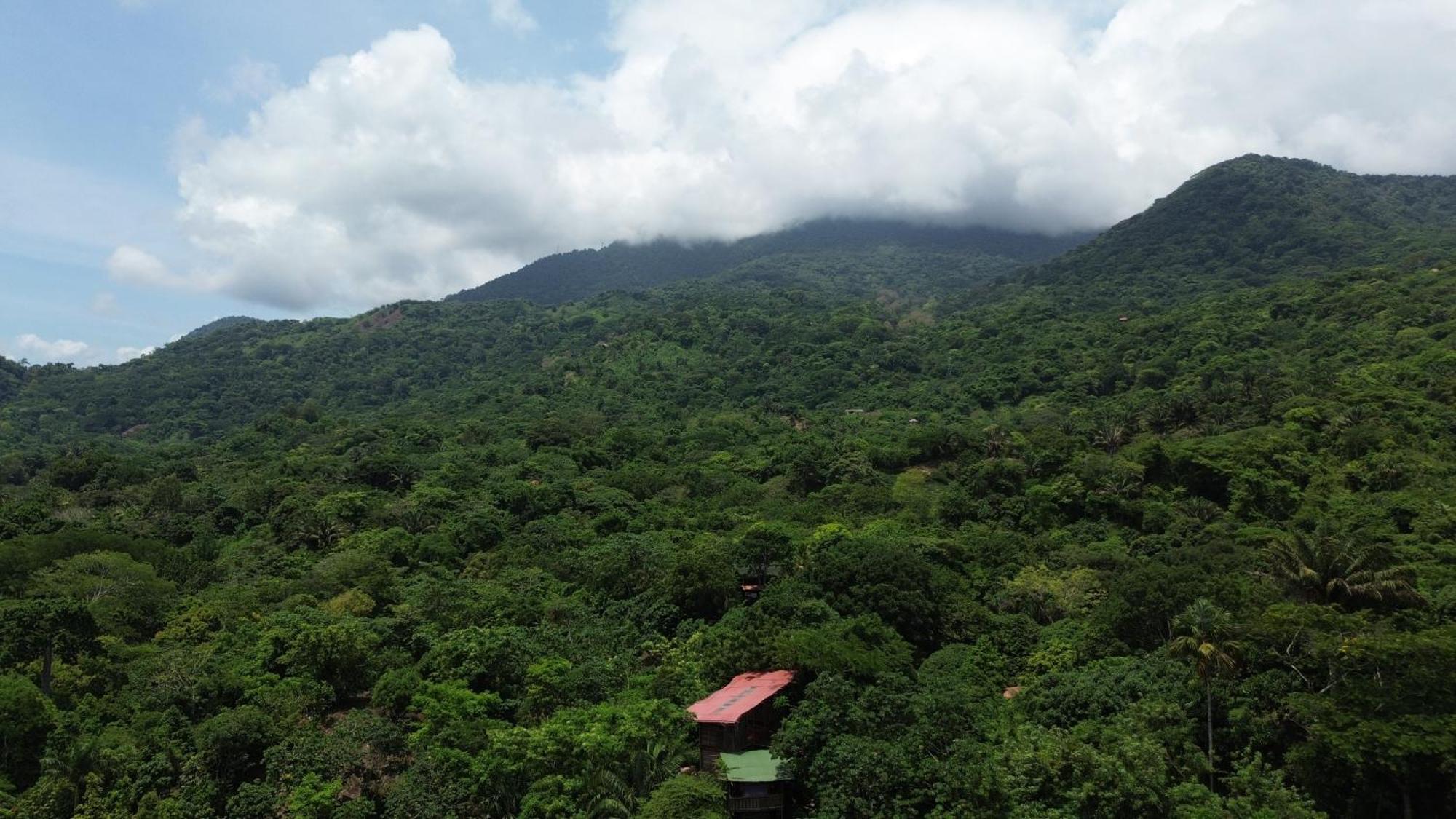 The Valley Tayrona Hostel -A unique nature experience El Zaino Extérieur photo