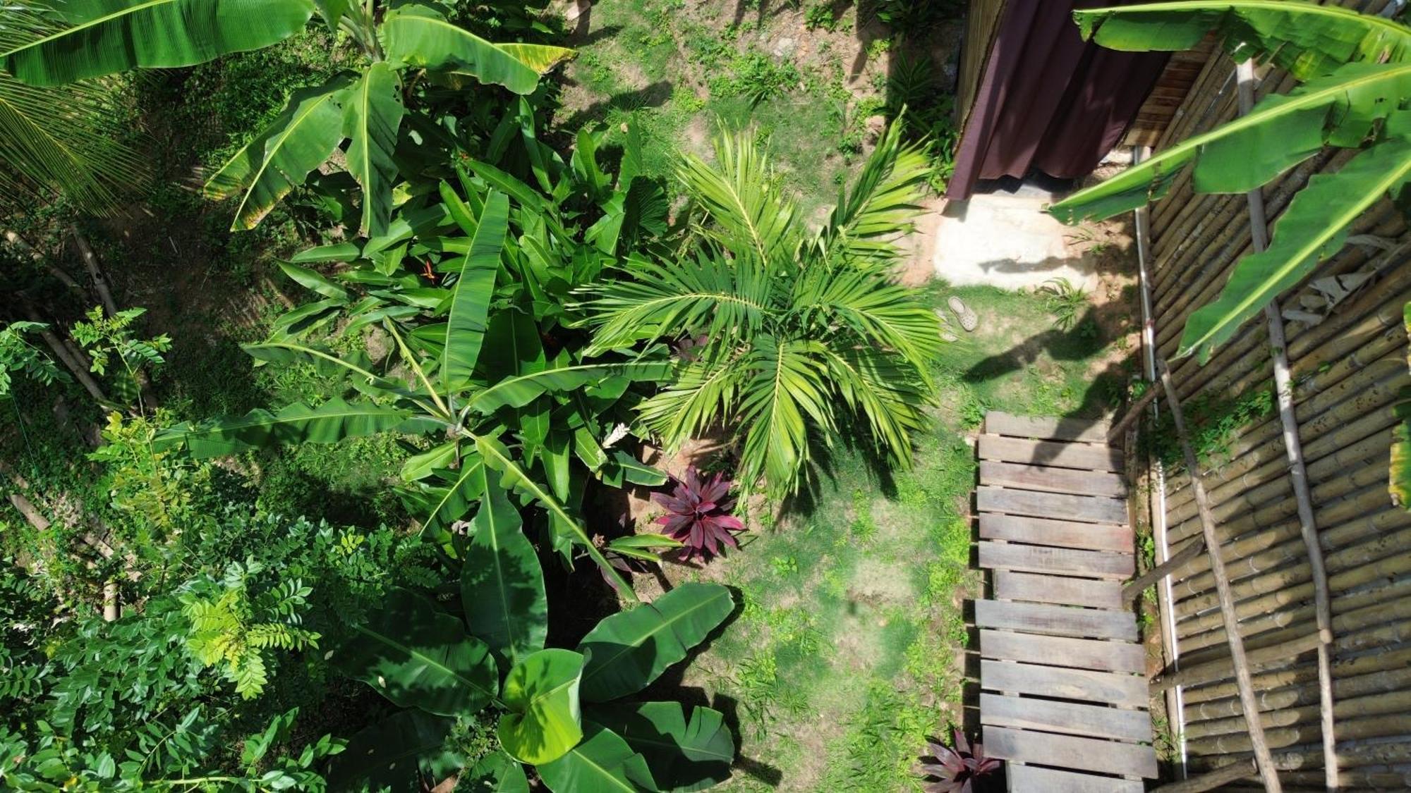 The Valley Tayrona Hostel -A unique nature experience El Zaino Extérieur photo