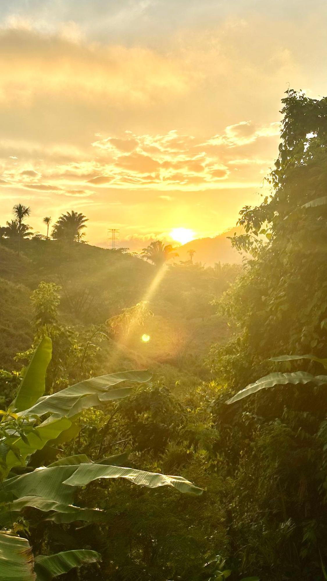 The Valley Tayrona Hostel -A unique nature experience El Zaino Extérieur photo