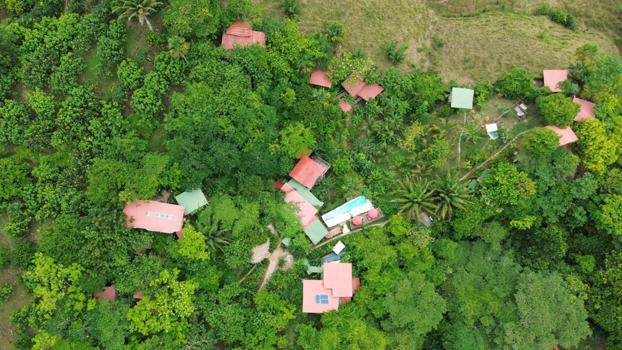 The Valley Tayrona Hostel -A unique nature experience El Zaino Extérieur photo