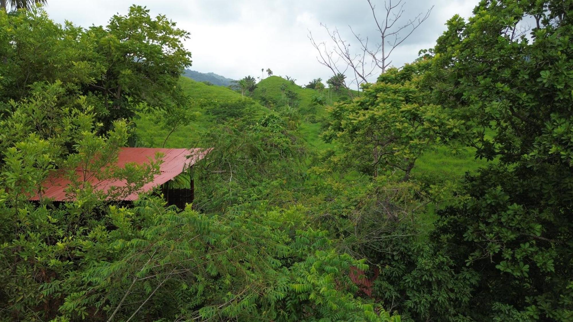 The Valley Tayrona Hostel -A unique nature experience El Zaino Extérieur photo