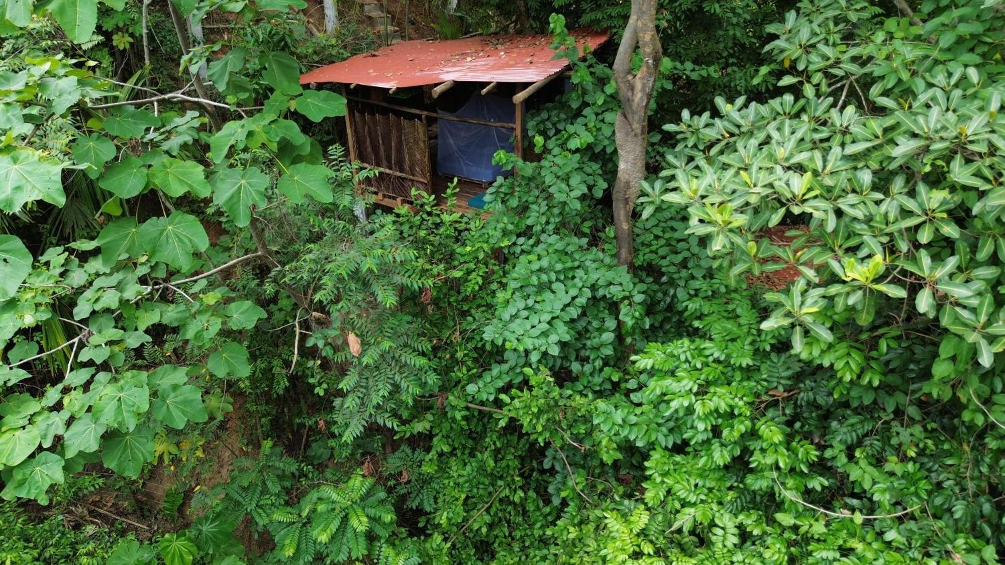 The Valley Tayrona Hostel -A unique nature experience El Zaino Extérieur photo