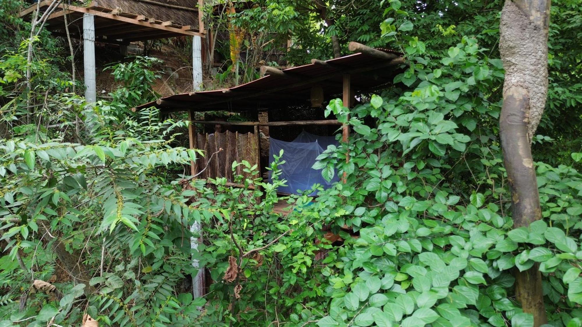 The Valley Tayrona Hostel -A unique nature experience El Zaino Extérieur photo