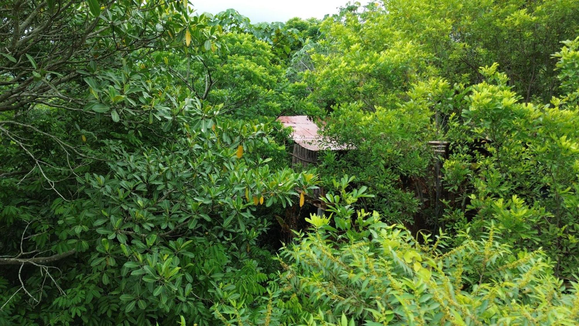 The Valley Tayrona Hostel -A unique nature experience El Zaino Extérieur photo